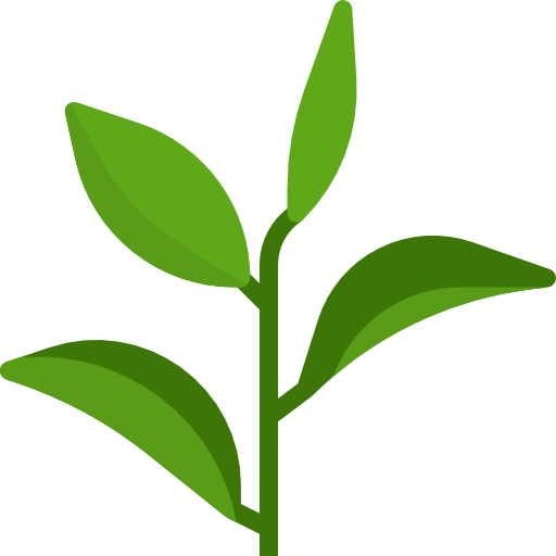 green teal leaves
