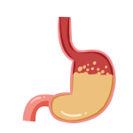 red stomach yellow digested piles